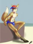 anthro biped bulge clothed clothing hat headgear headwear looking_at_viewer male sitting smile solo topless coszcatl canid canine fox mammal hi_res