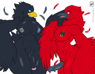anthro balls beak big_breasts breasts chest_tuft circumcised duo erection flaccid foreskin genitals gynomorph half-erect intersex jewelry nipple_piercing nipples non-mammal_balls non-mammal_breasts non-mammal_nipples nude open_mouth penis piercing red_balls simple_background smile standing tuft vein veiny_penis white_background walter_sache avian bird cardinal_(bird) corvid corvus_(genus) crow oscine passerine 2017 dated hi_res