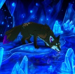 ambiguous_gender cave claws dipstick_tail drinking feral ice_cave inner_ear_fluff markings multicolored_tail purple_tail_tip solo spots tail tail_markings tongue tongue_out tuft water skeleion canid canine canis mammal wolf 2011 digital_media_(artwork)