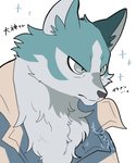 5:6 anthro aqua_fur blue_body blue_fur brand_new_animal brown_clothing brown_jacket brown_topwear canid canine canis clothing fur hi_res jacket japanese_text male mammal neck_tuft shirou_ogami solo studio_trigger text topwear toumoro_22 tuft wolf