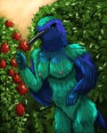 animal_genitalia anthro blue_body blue_feathers breasts cloaca feathers female flower garden genitals green_body green_feathers iridescent_feathers leaf long_beak nipples plant solo standing yenocwolf birdtember apodiform avian bird hummingbird swallow_tail_hummingbird 4:5 absurd_res hi_res