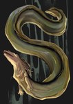 breasts female fin gills glistening glistening_body green_body hair humanoid_hands legless open_mouth ribs small_breasts solo tail vich animal_humanoid eel eel_humanoid fish fish_humanoid humanoid marine marine_humanoid hi_res