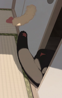 acting_like_a_cat ambiguous_feral ambiguous_gender black_body black_fur cat_toy detailed_background door feral fur high-angle_view inside light lying monotone_body monotone_fur on_side pawpads paws pink_pawpads plushie solo tatami olyester nintendo pokemon eeveelution generation_2_pokemon mammal pokemon_(species) umbreon 2025 colored digital_media_(artwork) digital_painting_(artwork) lighting painting_(artwork) shaded