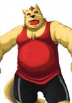 anthro bottomwear clothing kemono male one_eye_closed overweight overweight_anthro overweight_male shirt shorts simple_background solo topwear white_background wink kuma_(pixiv_881259) kumadasi canid canine canis domestic_dog mammal 2012 hi_res