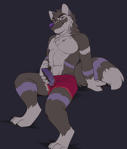 animal_genitalia animal_penis anthro bare_chest barefoot bedroom_eyes bottomwear boxer_briefs cheek_tuft claws clothed clothing ear_piercing ear_ring erection facial_tuft feet front_view fur genitals grey_body grey_fur half-closed_eyes hand_on_penis holding_penis knot knotted_penis looking_at_viewer male markings masturbation multicolored_body multicolored_fur narrowed_eyes navel partially_clothed pawpads paws penis piercing purple_body purple_eyes purple_fur purple_nose purple_penis red_clothing ring_piercing seductive sitting solo tuft underwear jailbird dl_wolf_(dl2288) canid canine canis mammal wolf