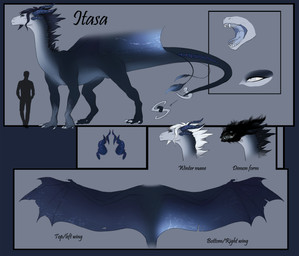 4_fingers 4_toes 6_horns black_head black_mane blue_body blue_horn blue_mane blue_tongue buccinator claws countershade_head countershade_neck countershade_torso countershading crystal crystal_horn dewclaw digitigrade eye_shot eyebrows eyelashes fangs feet female feral finger_claws fingers floating_horn grey_background grey_body grey_eyes grey_hands hair height_comparison horn male mane membrane_(anatomy) membranous_wings mouth_closed mouth_shot multi_horn notched_wings open_mouth pseudo_horn quadruped scutes sharp_teeth side_view silhouette simple_background snout solo spread_wings standing tail tailbutt tapering_tail teeth text toe_claws toes tongue wavy_horn white_claws white_eyes white_face white_mane wing_claws wings jadedragoness european_mythology mythology itasa_(jadedragoness) dragon mythological_creature mythological_scalie scalie western_dragon 2018 character_name digital_media_(artwork) digital_painting_(artwork) english_text full-length_portrait hi_res model_sheet painting_(artwork) portrait shaded