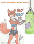 anthro bandaged_hands big_tail black_bottomwear black_clothing black_shorts blue_sleeveless_shirt bottomwear breasts cleavage clothed clothing female looking_at_viewer orange_body punching_bag shorts simple_background solo tail text white_background thecooler brutal_paws_of_fury foxy_roxy canid canine fox mammal 2018 character_name traditional_media_(artwork)