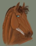 ambiguous_gender blue_eyes brown_body brown_hair brown_mane feral hair looking_at_viewer mane simple_background solo text voronasasha dolero equid equine horse mammal 2020 bust_portrait digital_media_(artwork) english_text hi_res portrait