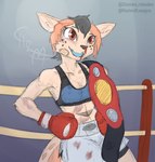 anthro beaten_up blood bodily_fluids boxing boxing_attire boxing_gloves champion championship_belt clothing female fighting_ring handwear muscular muscular_anthro muscular_female nosebleed solo sport chamma_retsuden masteroflasagna olletta macropod mammal marsupial wallaby