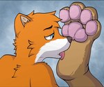 4_toes anthro blue_eyes brown_body brown_fur feet foot_fetish foot_lick foot_play fur hindpaw licking male multicolored_body one_eye_closed orange_body orange_fur pawpads paws simple_background solo toes tongue tongue_out two_tone_body kiwifizz canid canine fox mammal animated cel_shading low_res shaded