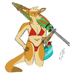 anthro beach breasts clothed clothing female fur genitals multicolored_body multicolored_fur prosthetic prosthetic_arm prosthetic_limb pussy seaside solo standing swimwear umbrella themanbearpig kangaroo macropod mammal marsupial hi_res