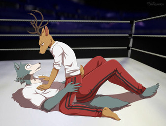 5_fingers anthro arena barefoot bottomwear clothing crowd feet fighting_ring fingers group open_mouth pajamas pants pinned pinned_to_ground red_bottomwear red_clothing red_pants shirt smile suggestive_pose text topwear white_clothing white_shirt white_topwear wrestling tommysamash beastars netflix legoshi_(beastars) louis_(beastars) canid canine canis cervine deer mammal red_deer wolf 2022 artist_name digital_media_(artwork) hi_res