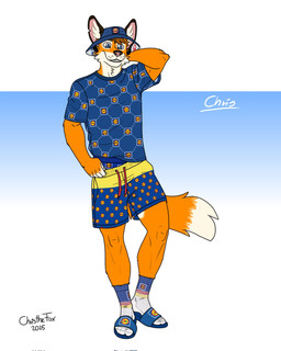 anthro blue_eyes bottomwear boxers_(clothing) brown_hair clothing ears_up footwear fox_tail fur hair hand_behind_head hat headgear headwear male orange_body orange_fur sandals shirt shoes shorts slippers socks socks_with_sandals solo tail teeth topwear underwear wearing_hat white_body white_fur bartek22 lidl chris_the_fox_(bartek22) canid canine fox mammal hi_res