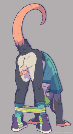 all_fours anthro anus balls blue_eyes clothed clothing footwear fur genitals green_sclera grey_body grey_fur hair humanoid_genitalia humanoid_penis looking_back male multicolored_body partially_clothed penis rear_view shirt shoes socks solo tail topwear two_tone_body underwear underwear_down white_body white_fur no_entry simon_(no_entry) mammal murid murine rat rodent 2019 absurd_res hi_res