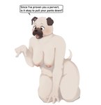 all_fours anthro big_breasts breasts dialogue female floppy_ears front_view kneeling nude open_mouth short_tail simple_background slightly_chubby slightly_chubby_anthro slightly_chubby_female solo speech_bubble tail text tongue white_background bfkitsu1550 canid canine canis domestic_dog mammal molosser pug small_molosser toy_dog hi_res