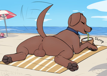 aged_up anus ball balls beach beach_ball butt coconut collar drinking_straw drupe_(fruit) feral food fruit genitals inflatable lying male pawpads paws plant sand sea solo sploot tail tail_motion tailwag umbrella water laserkitten paw_patrol zuma_(paw_patrol) bird_dog canid canine canis domestic_dog hunting_dog labrador mammal retriever absurd_res colored colored_sketch hi_res sketch