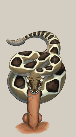 balls bestiality brown_body brown_eyes brown_scales duo erection eyelashes fellatio female female_feral female_on_human female_penetrated feral feral_penetrated first_person_view forked_tongue genitals grey_background human_on_feral human_penetrating human_penetrating_female human_penetrating_feral human_pov interspecies long_tail looking_at_viewer male male/female male_human male_on_feral male_penetrating male_penetrating_female male_penetrating_feral male_pov multicolored_body multicolored_scales oral oral_penetration penetrating_pov penetration penile penile_penetration penis penis_in_mouth scales sex simple_background tail tan_balls tan_penis tongue tongue_out tongue_out_fellatio vein veiny_penis white_body white_scales jackiethedoodler human mammal pit_viper rattlesnake reptile scalie snake viper 2024 absurd_res colored digital_drawing_(artwork) digital_media_(artwork) english_description hi_res shaded story story_in_description female_(lore)