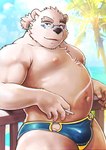 anthro belly bulge clothing cloud detailed_background eyewear glasses humanoid_hands kemono male moobs navel nipples outside overweight overweight_male palm_tree plant smoking solo swimwear tree kemokemumaki lifewonders tokyo_afterschool_summoners leib_(tas) bear mammal polar_bear ursine 2023