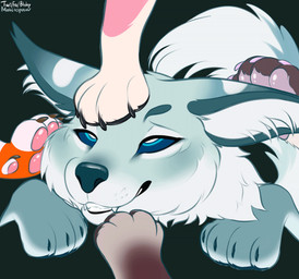 arm_tuft bodily_fluids cheek_tuft claws elbow_tuft facial_tuft feet feral fluffy fluffy_chest fluffy_ears fluffy_tail foot_fetish foot_focus foot_rub group male neck_tuft paw_in_mouth pawpads paws paws_in_face paws_on_head raised_paw saliva saliva_on_tongue saliva_string squish tail tail_motion tailwag tongue tongue_fetish tongue_out tuft mohitopaw shivier_hailgaze canid canine canis domestic_dog felid feline herding_dog lynx mammal pastoral_dog serval welsh_corgi wolf 2d_animation animated