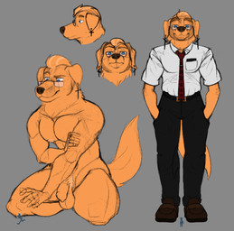 anthro balls cross eyewear flaccid foreskin genitals glasses macro male micro nipples nude pecs penis piercing simple_background solo giantboonehusky bird_dog canid canine canis domestic_dog golden_retriever hunting_dog mammal retriever hi_res