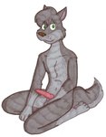 animal_genitalia animal_penis canine_genitalia canine_penis erection fur genitals grey_body grey_fur male penis sitting solo tabbiewolf canid canine canis mammal wolf