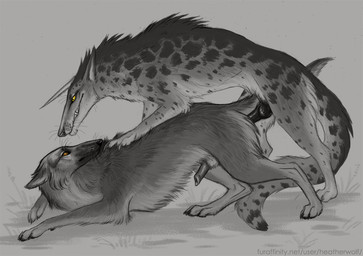animal_genitalia animal_penis bared_teeth canine_genitalia canine_penis duo erection fangs feral feral_on_feral feral_penetrated feral_penetrating feral_penetrating_feral from_behind_position fur genitals grass male male/male male_penetrated male_penetrating male_penetrating_male orange_eyes penetration penis penis_tip plant sex side_view spotted_legs spotted_neck teeth whiskers yellow_eyes heatherwolf canid canine mammal species_request partially_colored