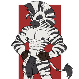 abs animal_genitalia animal_penis anthro balls big_balls big_penis black_stripes clothing equine_genitalia equine_penis fingerless_gloves flaccid genitals gloves gloves_only handwear handwear_only male male_anthro mostly_nude muscular muscular_anthro muscular_male nipples penis solo stripes tail tail_tuft tuft white_body unknown_artist equid equine mammal zebra 1:1 hi_res