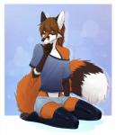 2016 4_toes 5_fingers absurd_res anthro black_fur black_nose blue_background bottomwear canid canine clothing digitigrade ear_piercing egsaku_(character) fingers fox fur girly gloves_(marking) green_eyes hi_res kneeling leg_markings legwear looking_at_viewer male mammal markings multicolored_fur orange_fur pawpads paws piercing pose shirt shorts simple_background slim smile socks_(marking) solo stockings teasing toes topwear two_tone_fur viskasunya white_fur

Rating: Safe
Score: 28
User: DeservantHurricane
Date: January 27, 2018