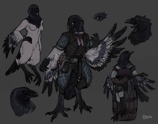 anthro feathers female solo greennie avian 2024 absurd_res hi_res model_sheet