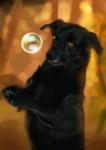 ambiguous_gender black_nose bubble claws feral fur outside photorealism realistic smile solo speedpaint martith canid canine canis domestic_dog mammal 2018 detailed digital_media_(artwork) digital_painting_(artwork) hi_res painting_(artwork) signature