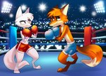 anthro bottomwear boxing boxing_gloves boxing_trunks clothing dolphin_shorts duo eye_contact eyelashes eyeliner female fighting_pose fighting_ring green_eyes handwear illuminated looking_at_another makeup male male/female narrowed_eyes pink_eyes pose public shorts smile sport dymitr3 disney zootopia emily_(emily_rose) fairfax_(mario_toledo) fan_character arctic_fox canid canine fox mammal red_fox true_fox absurd_res hi_res