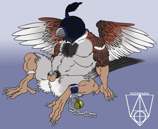 anthro balls barazoku beak biped blindfold chain chastity_cage chastity_device falconry_hood feathered_wings feathers flaccid genitals hood hooded lock male musclegut muscular padlock pecs penis pose reclining sensory_deprivation sitting solo spread_legs spread_wings spreading submissive submissive_male wings toothpasta avian bird house_sparrow oscine passerine sparrow hi_res pinup signature