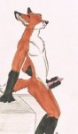 2009 anthro canid canine erection eyes_closed fox genitals isil knot male mammal masturbation nude penile penile_masturbation penis simple_background solo tail