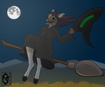 anthro black_clothing black_robe broom broom_riding brown_hair city cityscape cleaning_tool clothed clothing countershading female fur green_eyes hair hat headgear headwear holding_object holidays hooves in_midair leg_markings light looking_at_viewer magic_user markings moon moonlight night open_mouth outside robe simple_background sky smile smiling_at_viewer socks_(marking) solo tan_body tan_fur teeth white_body white_fur witch witch_hat flawedspirit halloween ellen_(flawedspirit) deer mammal 2024 6:5 digital_drawing_(artwork) digital_media_(artwork) hi_res