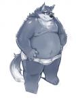 anthro belly black_nose briefs clothing eyewear glasses humanoid_hands male moobs nipples overweight overweight_anthro overweight_male simple_background solo tighty_whities underwear white_background white_briefs white_clothing white_underwear kita_9999 canid canine canis mammal wolf 2016 3:4 absurd_res hi_res