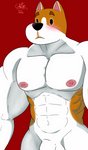 abs anthro balls blush genitals male muscular muscular_anthro muscular_male nipples nude penis simple_background solo cake_top animal_crossing nintendo copper_(animal_crossing) canid canine canis domestic_dog mammal 2020 hi_res