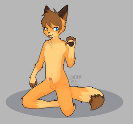 5_fingers anthro balls brown_hair chest_tuft erection fingers front_view fur genitals hair heterochromia humanoid_genitalia humanoid_penis kneeling male nude nude_anthro nude_male orange_body orange_fur pawpads penis solo tail tongue tongue_out tuft young young_anthro young_male cozywaves canid canine fox mammal hi_res