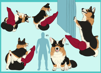 anatomically_correct anatomically_correct_genitalia anatomically_correct_penis animal_genitalia animal_penis anus balls big_balls big_penis black_balls breath butt canine_genitalia canine_penis feral genitals huge_balls huge_penis hyper hyper_balls hyper_genitalia hyper_penis knot knotted_penis lying male on_back panting paws penis presenting presenting_hindquarters presenting_penis sheath silhouette sitting size_difference solo standing tongue tongue_out anonymous_artist charles_(kazukio) canid canine canis domestic_dog herding_dog mammal pastoral_dog welsh_corgi absurd_res hi_res model_sheet