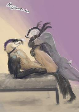 anthro bed duo from_front_position furniture genitals legs_up lying male male/male missionary_position muscular on_back penis reclining sex side_view gaertan brazato_of_saldara avian badger european_badger mammal meles mustelid musteline hi_res