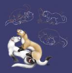 2012 anal anal_penetration anus balls butt claws couple cuddling cum cum_in_ass cum_inside cum_on_stomach cute duo erection eyes_closed eyewear feral feral_on_feral ferret from_behind fur gay glasses hindpaw hug licking love lying male mammal moodyferret mustelid nude on_back open_mouth oral oral_sex orgasm pawpads paws peeing penetration penis plain_background rimming sex sketch sleeping smile tongue tongue_out urine watersports whiskers
Rating: Explicit
Score: 11
User: megadeth
Date: December 18, 2013