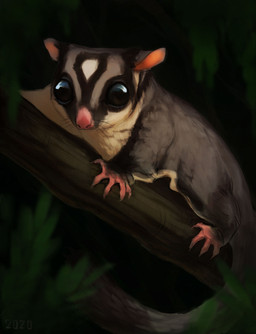 black_eyes black_markings black_whiskers branch feral fur grey_body grey_fur markings on_branch pink_hands pink_nose plant quadruped solo whiskers white_body white_fur alexpahomov australian_possum mammal marsupial petaurid sugar_glider 2020 digital_media_(artwork) digital_painting_(artwork) hi_res painting_(artwork)