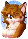 absurd_res anthro blue_eyes breasts brown_body brown_fur canid canine canis domestic_dog female fox fur hi_res husky mammal nana-yuka nipples nordic_sled_dog one_eye_closed solo spitz swift_(sleekhusky) tongue tongue_out white_body white_fur wink