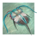 antennae_(anatomy) female feral ocean_floor sand solo kiabugboy vocaloid hatsune_miku arthropod bristolia_insolens marine prehistoric_species trilobite 1:1