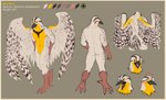 anthro atheltic beak border male nude slim solo wings yellow_border wolfsniper gem_(gembirb) avian bird western_meadowlark colored hi_res model_sheet