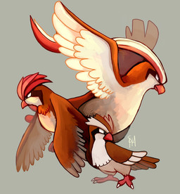 ambiguous_gender beak digitigrade feathered_wings feathers feet feral flying group simple_background standing tail tail_feathers talons toes trio wings spacesmilodon nintendo pokemon avian generation_1_pokemon pidgeot pidgeotto pidgey pokemon_(species) 2014 digital_media_(artwork) shaded signature