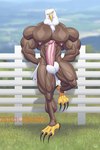 2019 4th_of_july abs accipitrid accipitriform american_eagle anthro avian bald_eagle balls bird chest_tuft eagle erection genitals holidays humanoid_genitalia humanoid_penis looking_at_viewer male muscular muscular_anthro muscular_male nipples nude pecs penis sea_eagle solo tuft wolfiecanem