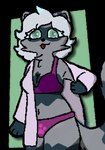 anthro black_outline blep breasts cheek_tuft clothing coat facial_tuft female flashing fluffy fluffy_tail footprint green_eyes grey_body hair lab_coat leg_markings markings neck_tuft outline pawprint pink_clothing pink_underwear simple_background simple_coloring slightly_chubby slightly_chubby_female solo tail thick_outline thigh_markings tongue tongue_out toony topwear tuft underwear white_hair fylumi femlumi_(fylumi) domestic_ferret hybrid mammal mustelid musteline procyonid raccoon true_musteline weasel absurd_res alpha_channel hi_res shaded simple_shading