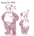 anthro balls blush flaccid genitals male overweight overweight_anthro overweight_male penis simple_background solo white_background young young_anthro gazpacho bear giant_panda mammal 2010 archived_source hi_res