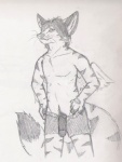 anthro biped canid canine clothing feathered_wings feathers flaccid genitals glans hands_on_hips humanoid_genitalia humanoid_penis isil isil_(character) male mammal monochrome penis pose sketch solo standing tail underwear wings