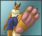 3_toes anthro anthrofied barefoot blue_border blue_bottomwear blue_clothing blue_shorts border bottomwear brown_body brown_fur clothing eyewear feet foot_focus fur glasses looking_at_viewer looking_down low-angle_view macro male micro plantigrade pokemorph raised_leg shorts size_difference soles solo stomping toes underpaw white_body white_fur worm's-eye_view evil-sprite nintendo pokemon fan_character eevee generation_1_pokemon pokemon_(species) 2021 signature